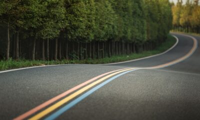 road, winding road, forest