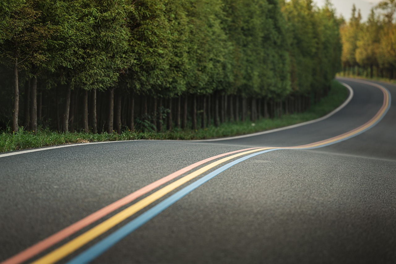 road, winding road, forest