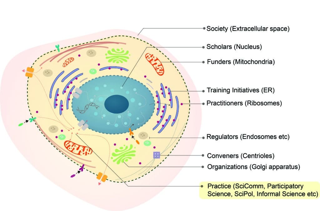 Figure 4: A preliminary schematic depicting civic science as a cellular system.