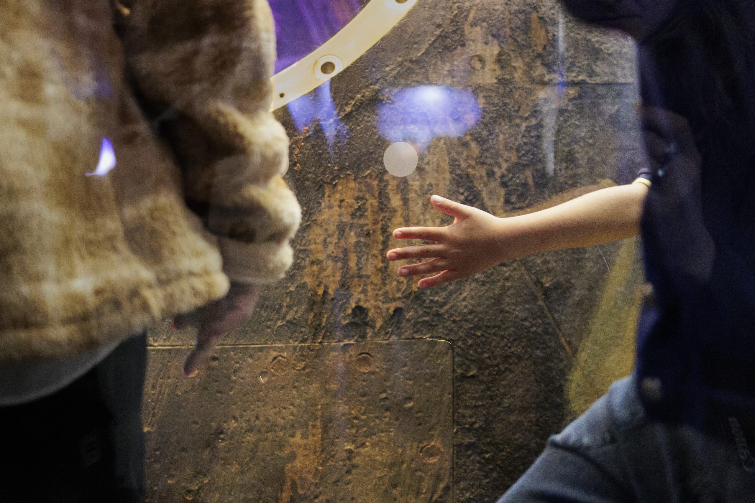 A child examines the Soyuz TMA-6 capsule on display.